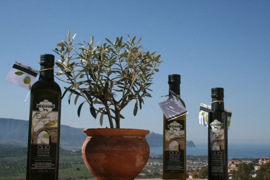 Olio Extravergine Di Oliva Cultivar Uovo Di Piccione Di Categoria Superiore Ilmangiaweb