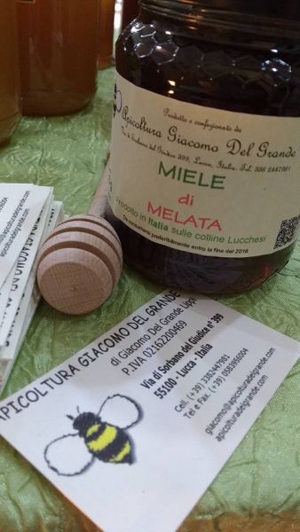 MIELE DI MELATA - LUCCHI E GUASTALLI