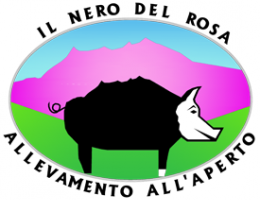 Immagine 2 di MORTADELLA OSSOLANA DA SUINO NERO DEL ROSA